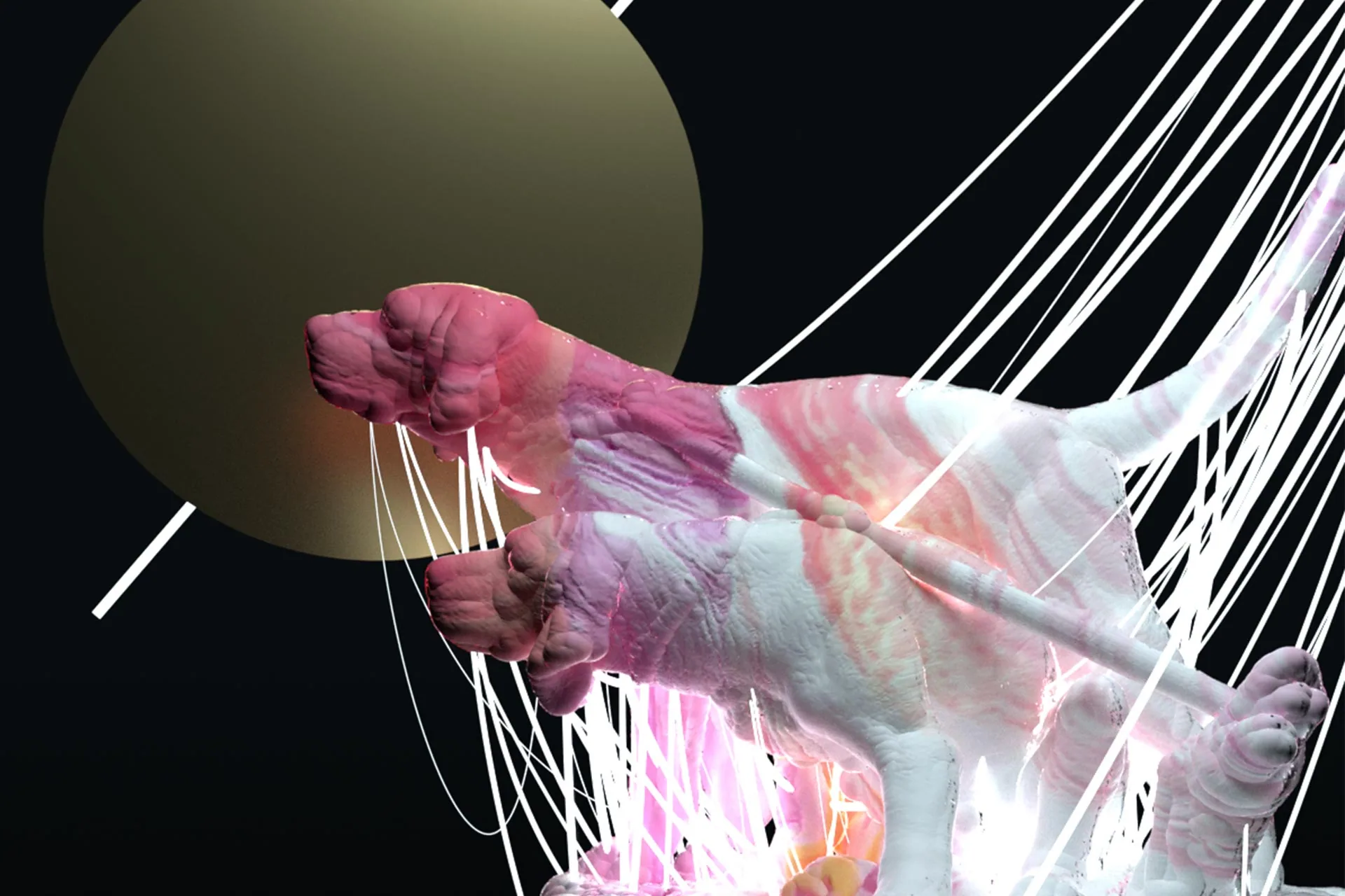 Animals at night. Textures and displacement build an organic-looking nocturnal scene.